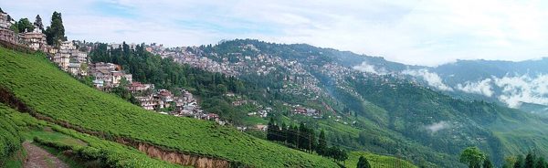 दार्जिलिंग